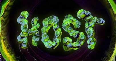HOST